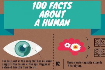 100 amazing and interesting facts about a human being