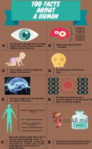 Interesting facts about humans in infographic