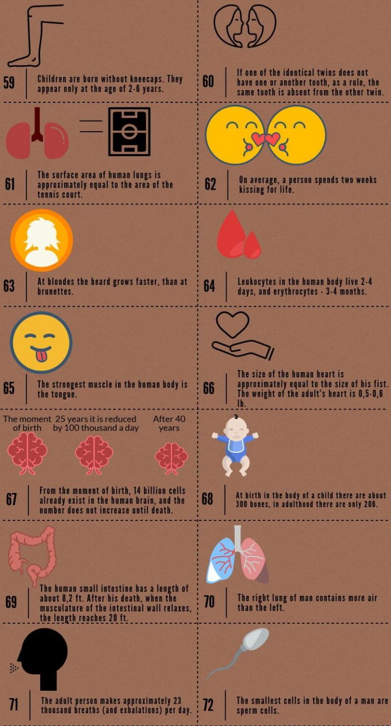 100 amazing and interesting facts about a human being