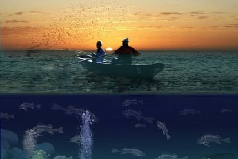 water pollution