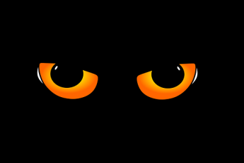 cat eyes