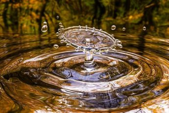 water facts