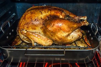 Thanksgiving turkey