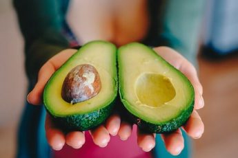 avocado diet
