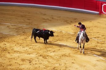 Spain
