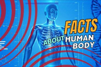 Interesting Facts About the Human Body