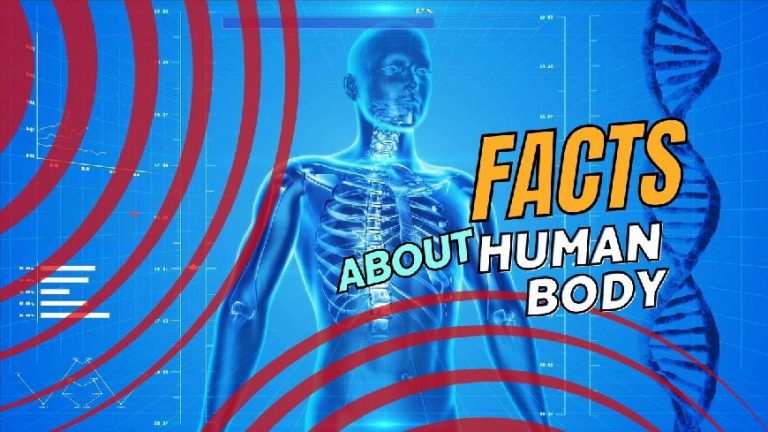20 Interesting Facts About the Human Body You Need to Know