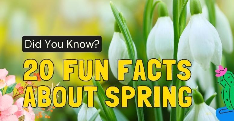 20 Fun Facts About Spring