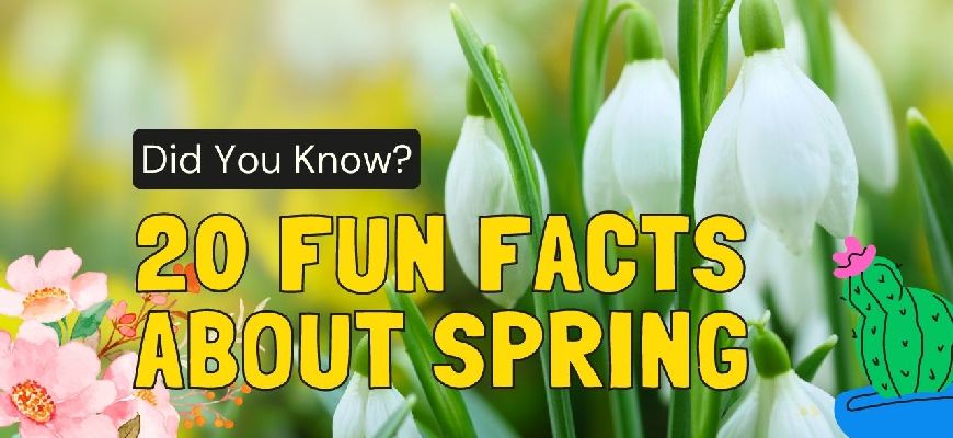 20 Fun Facts About Spring